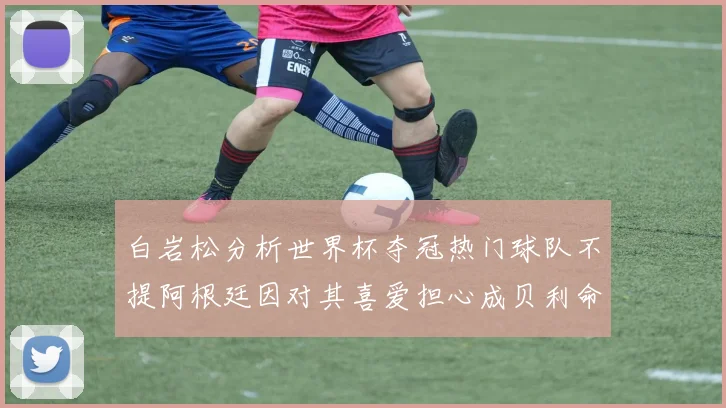 白岩松分析世界杯夺冠热门球队不提阿根廷因对其喜爱担心成贝利命运